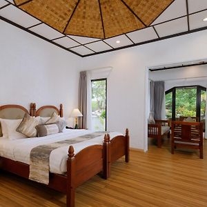Deluxe Beachfront Room